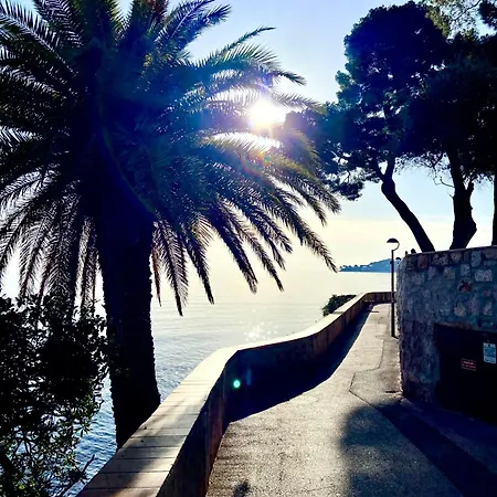 Apartamento 3p En Bord De Terrasse Parking